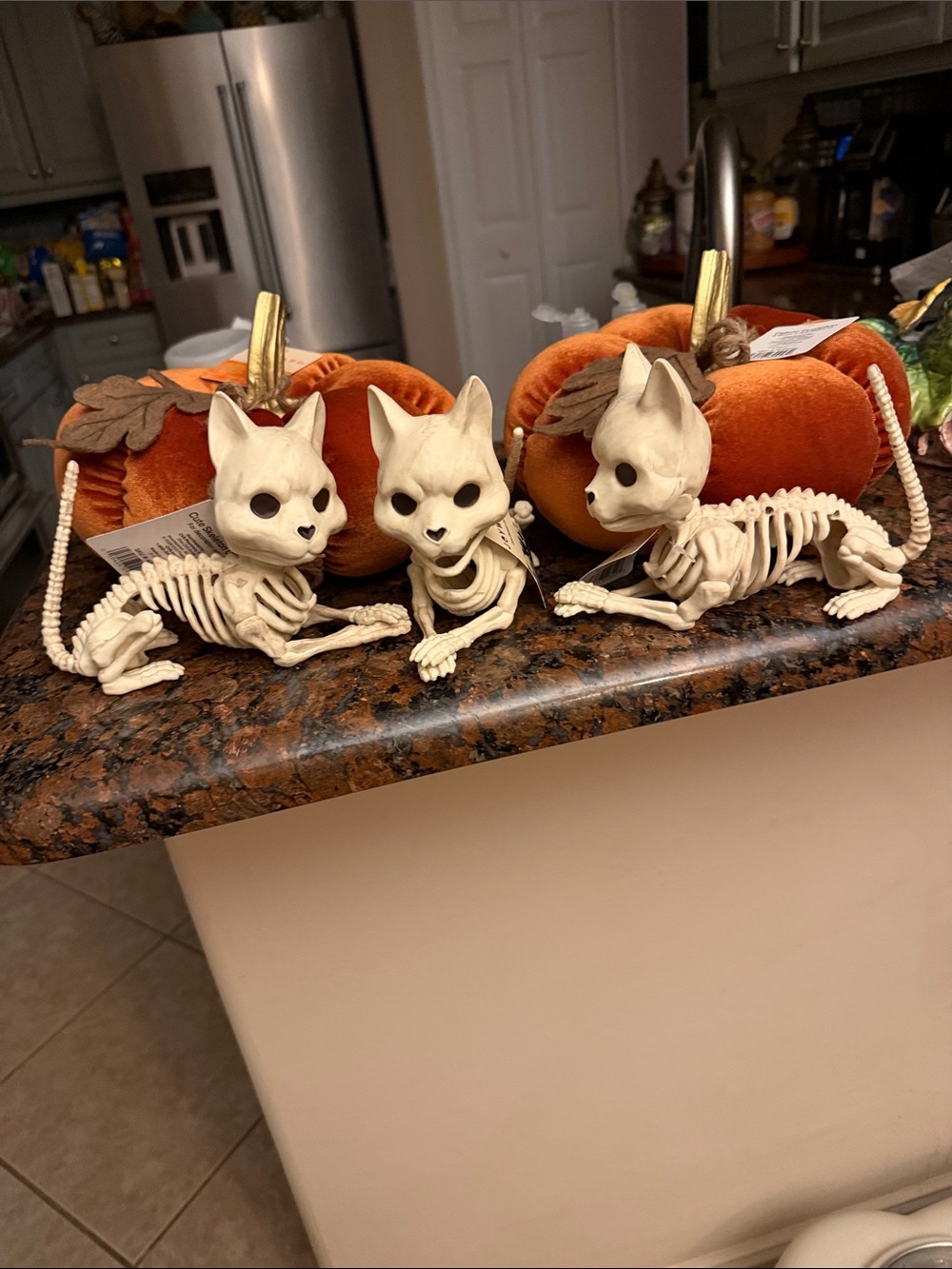 Halloween Cat Skeleton Figurines - White Bone Décor set of three